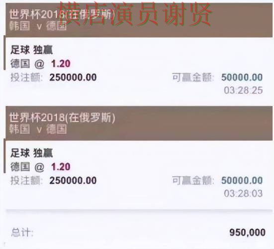 世界杯赛事中心背景下的世界杯投注平台推荐揭秘与访问方式